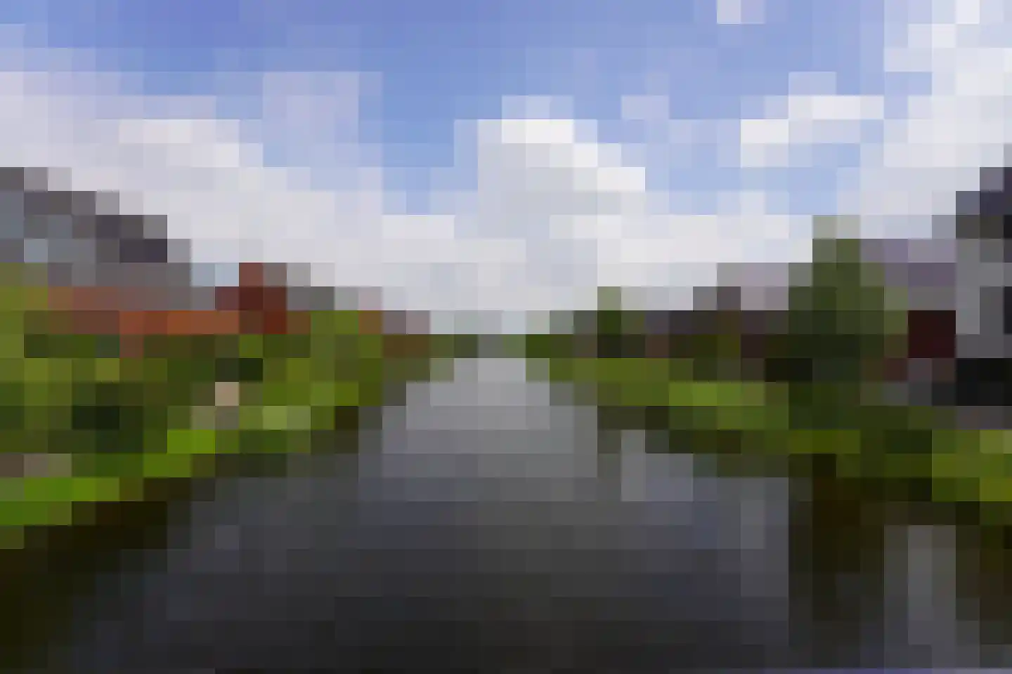 Aalscholver 10 Veenendaal thumbnail 39