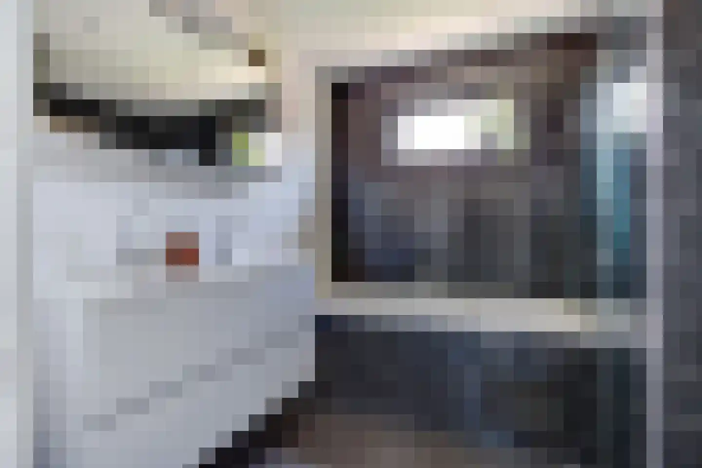 Aalscholver 10 Veenendaal thumbnail 4