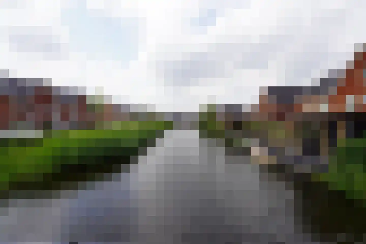 Aalscholver 10 Veenendaal thumbnail 40