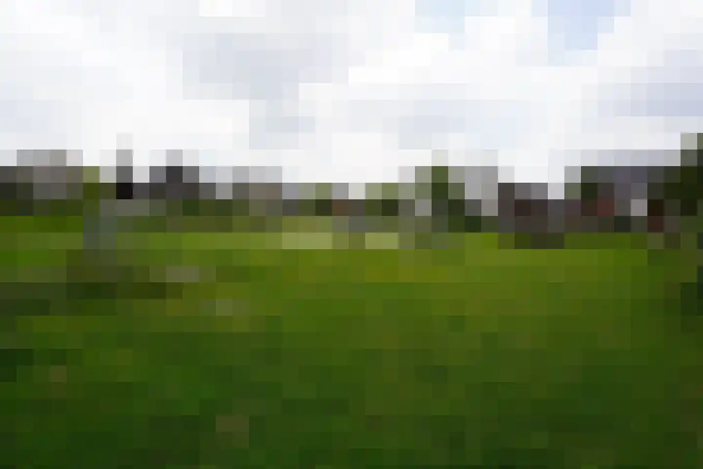 Aalscholver 10 Veenendaal thumbnail 41