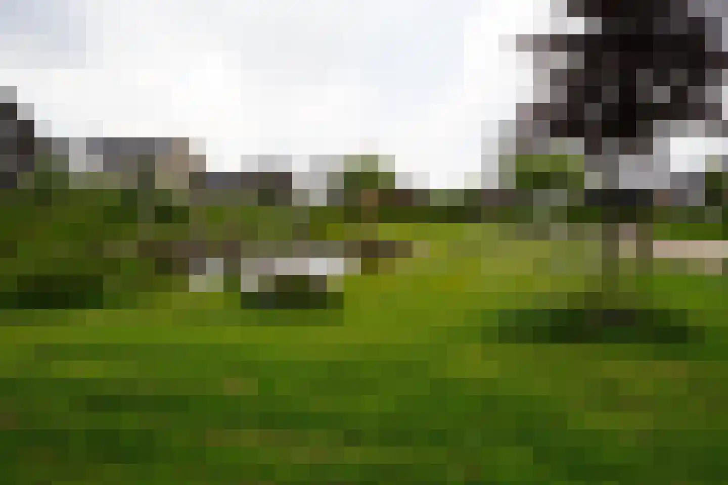 Aalscholver 10 Veenendaal thumbnail 42