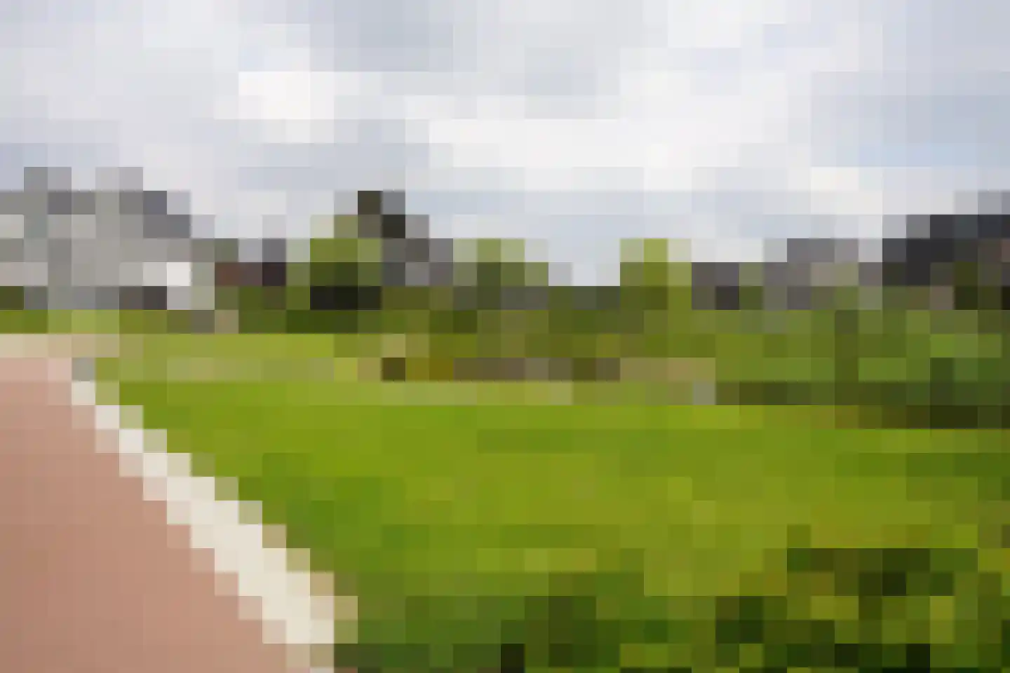 Aalscholver 10 Veenendaal thumbnail 43