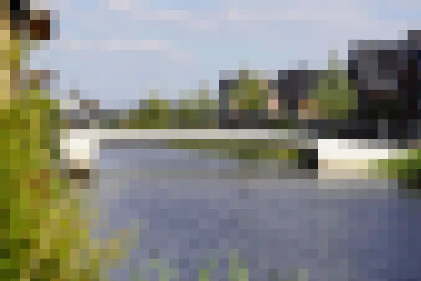 Aalscholver 10 Veenendaal thumbnail 44
