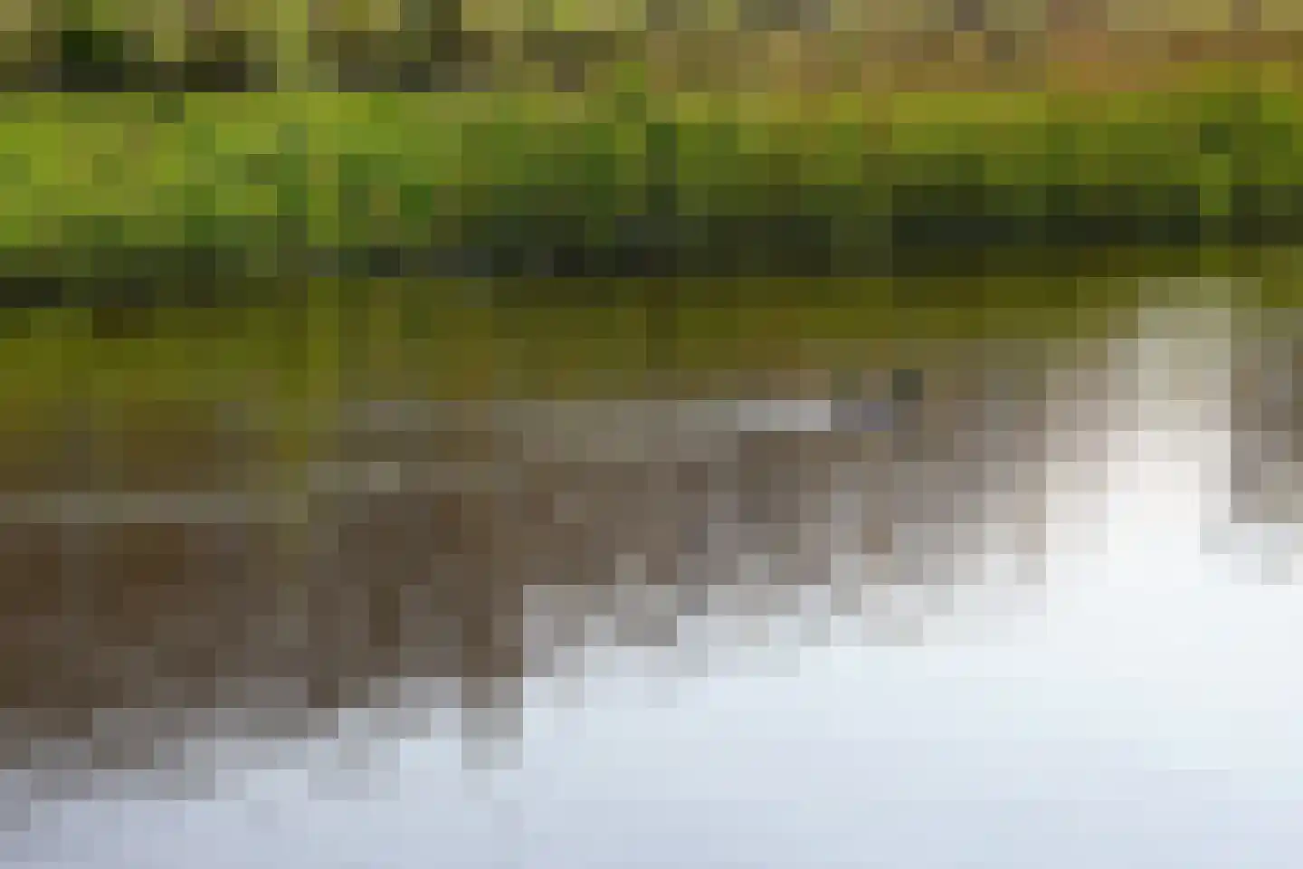 Aalscholver 10 Veenendaal thumbnail 46