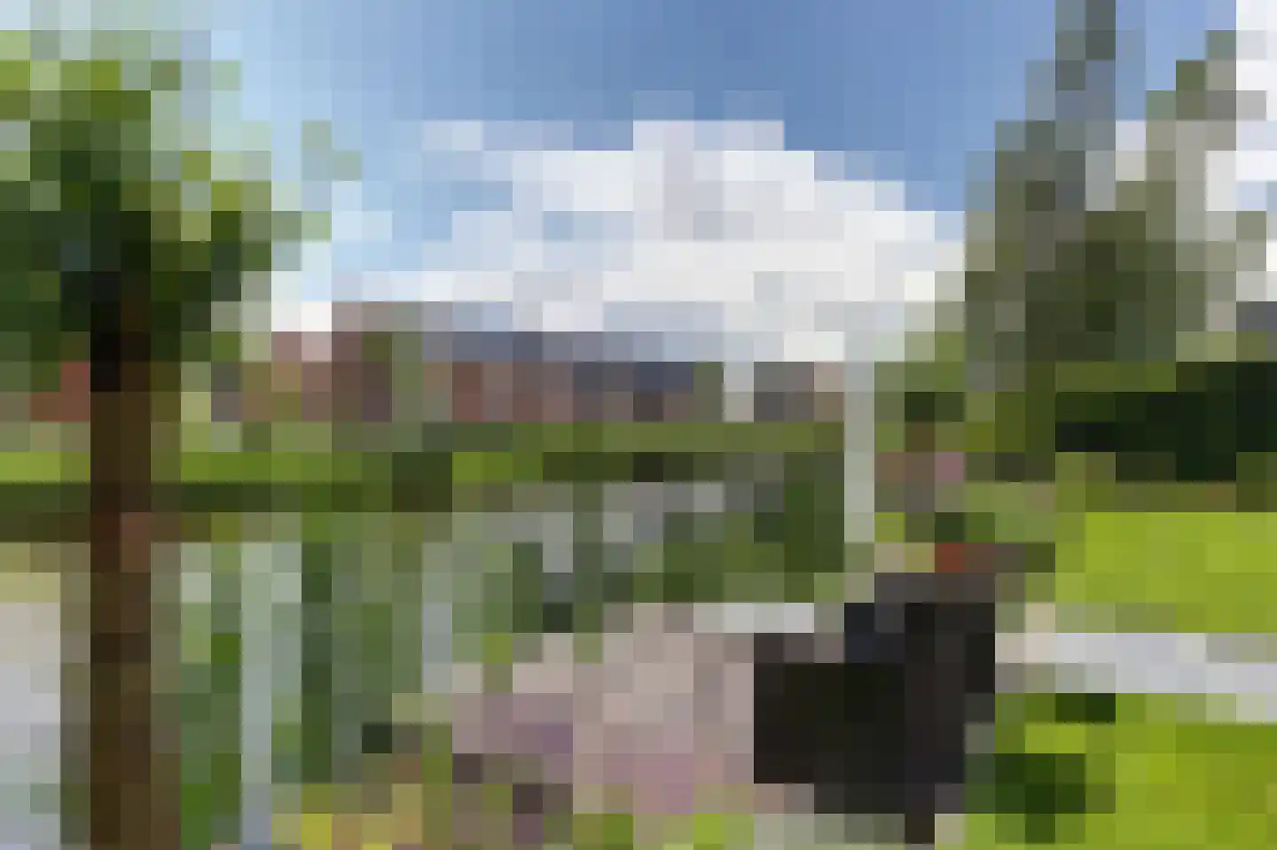 Aalscholver 10 Veenendaal thumbnail 5