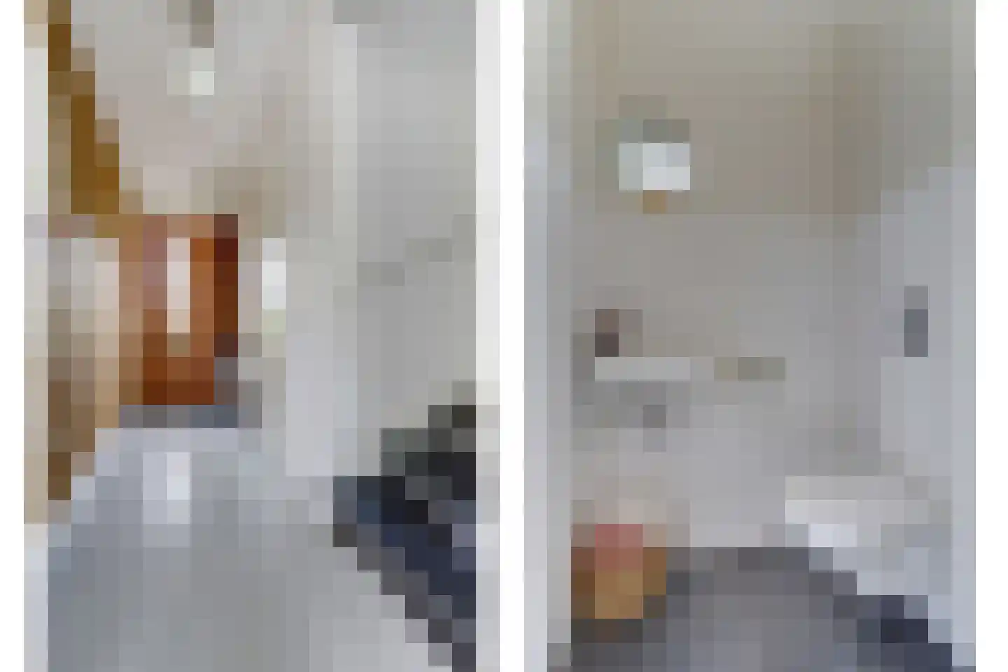 Aalscholver 10 Veenendaal thumbnail 8