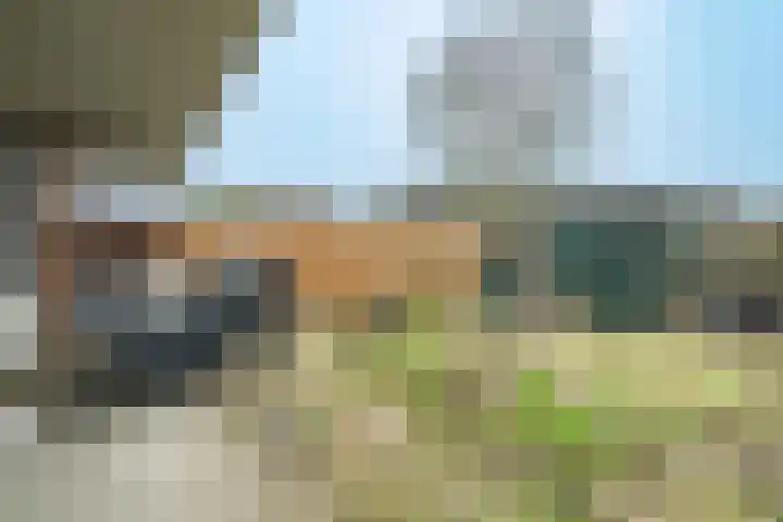 Aalscholver 11 Nieuwegein thumbnail 19
