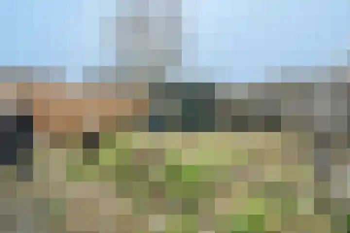 Aalscholver 11 Nieuwegein thumbnail 20