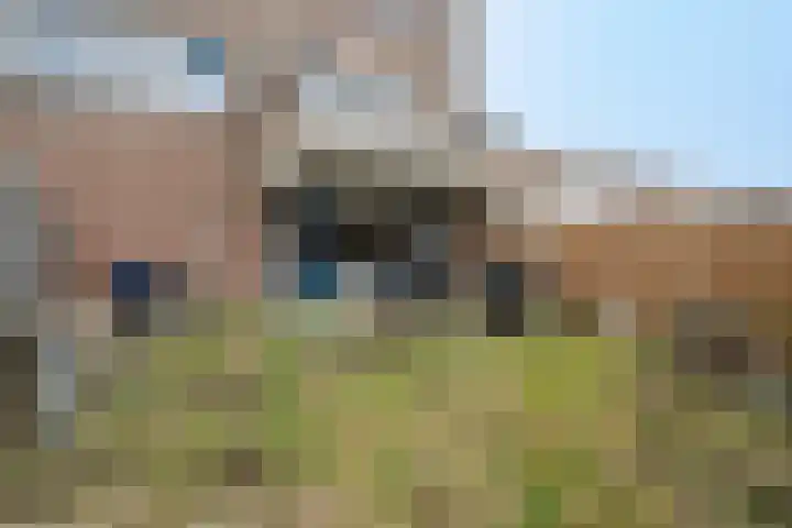 Aalscholver 11 Nieuwegein thumbnail 21