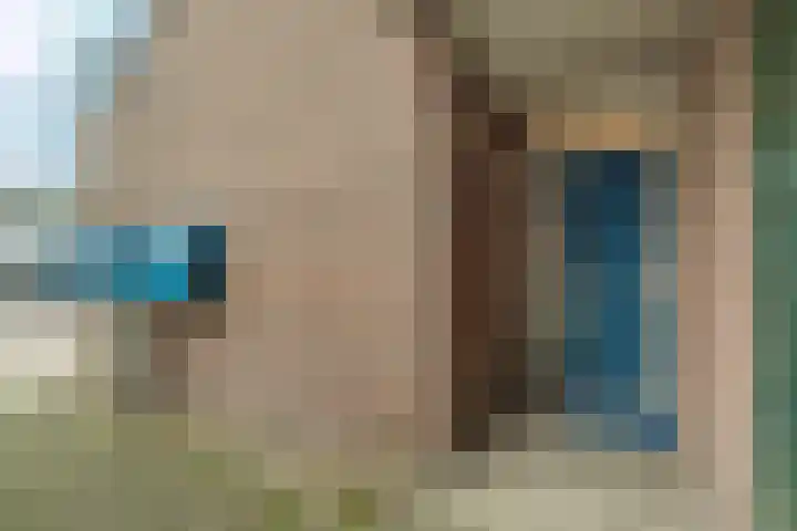 Aalscholver 11 Nieuwegein thumbnail 4