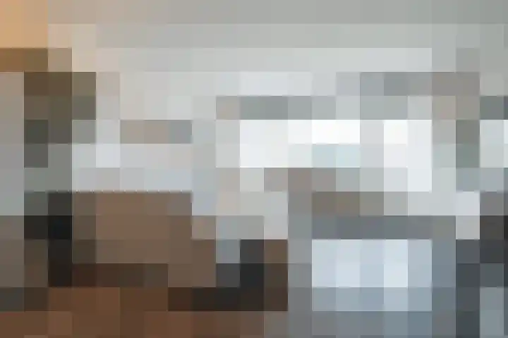 Aalscholver 11 Nieuwegein thumbnail 6