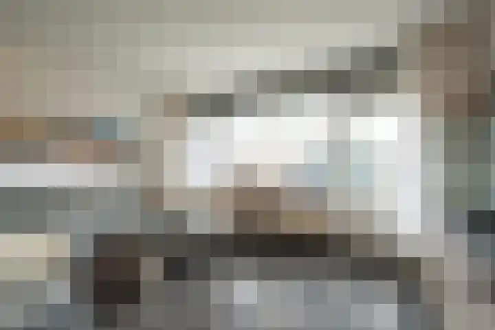 Aalscholver 11 Nieuwegein thumbnail 7