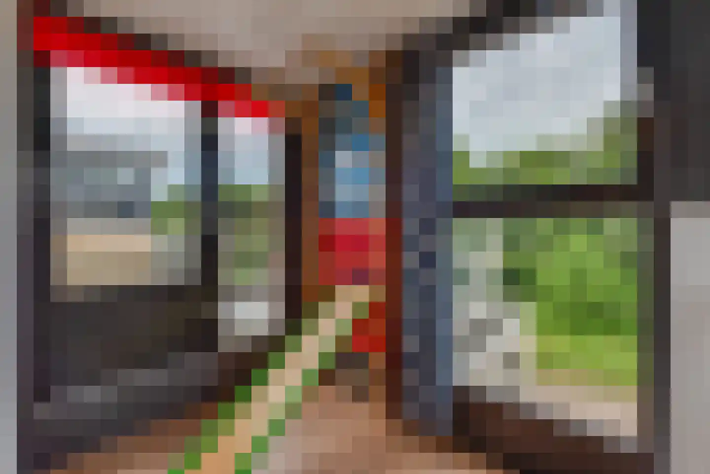 Aalscholver 115 Driebergen-Rijsenburg thumbnail 39