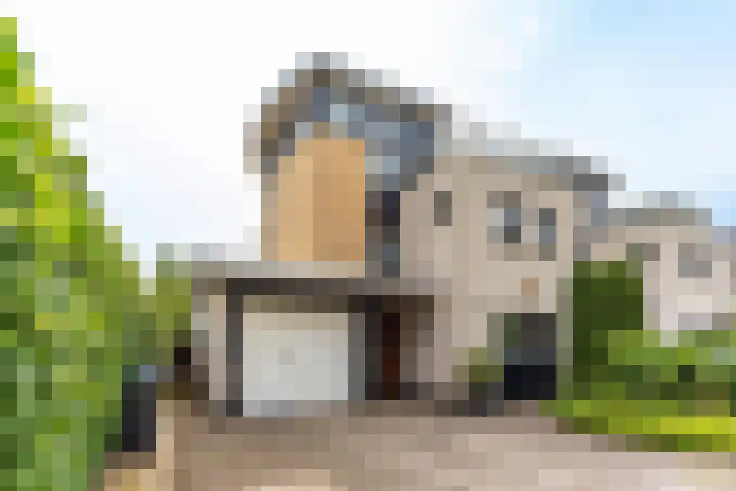 Aalscholver 115 Driebergen-Rijsenburg thumbnail 4