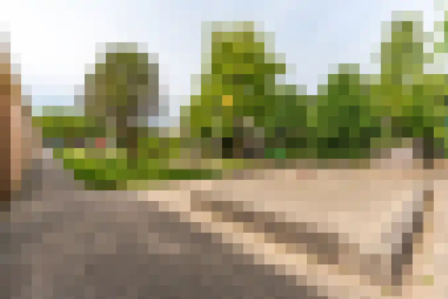Aalscholver 115 Driebergen-Rijsenburg thumbnail 44