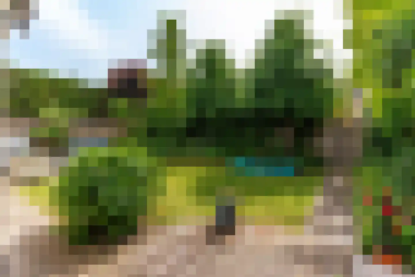 Aalscholver 115 Driebergen-Rijsenburg thumbnail 5