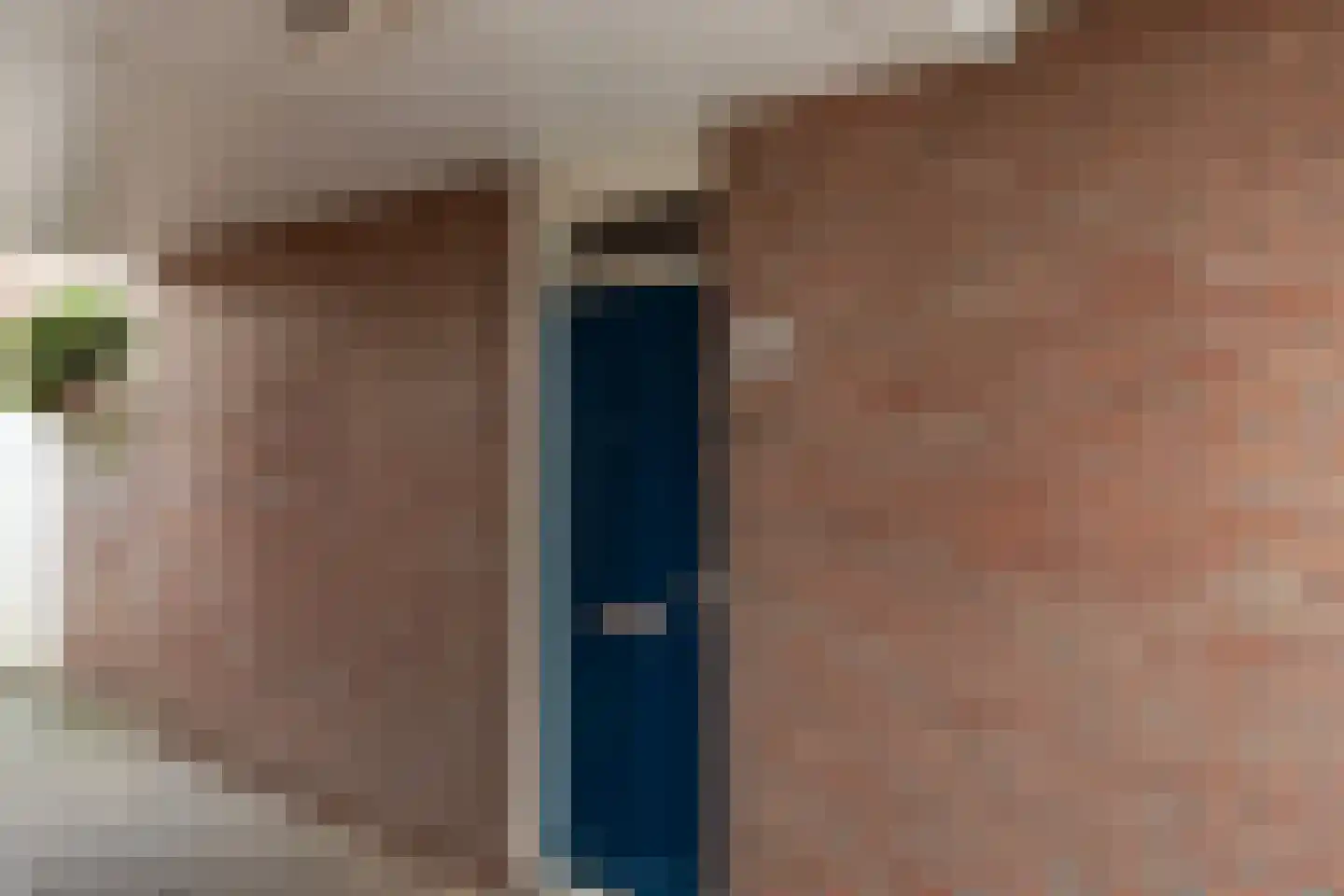 Aalscholver 12 Nieuwegein thumbnail 11