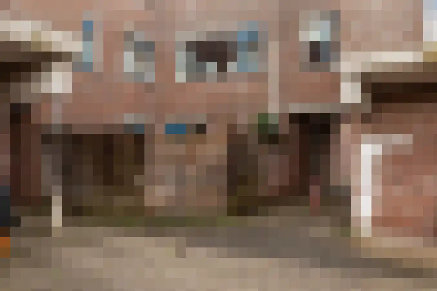 Aalscholver 12 Nieuwegein thumbnail 12