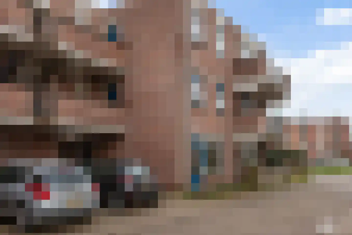 Aalscholver 12 Nieuwegein thumbnail 13