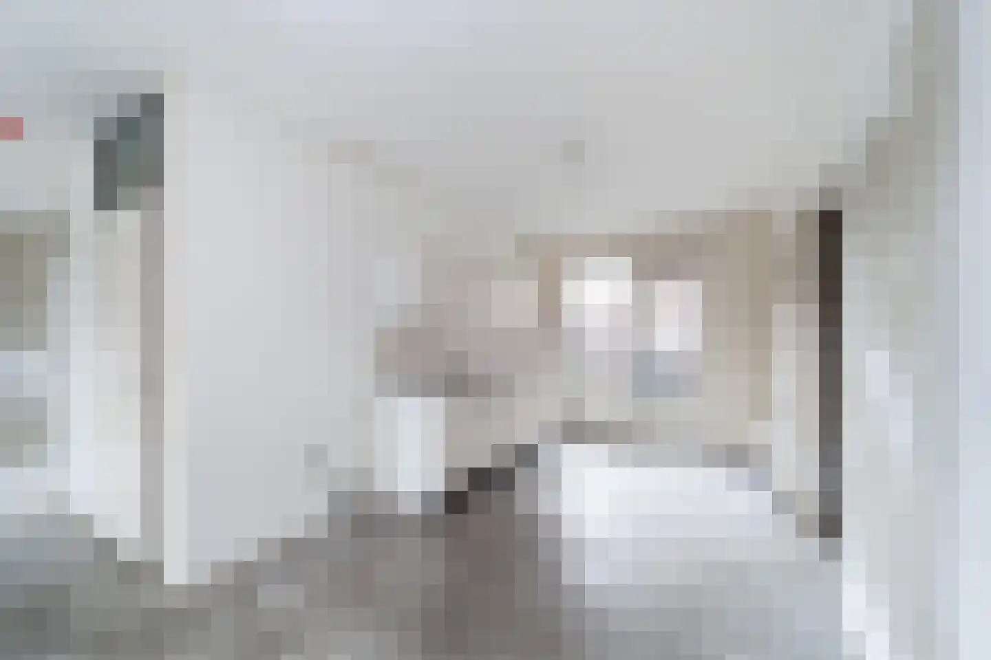 Aalscholver 12 Nieuwegein thumbnail 14