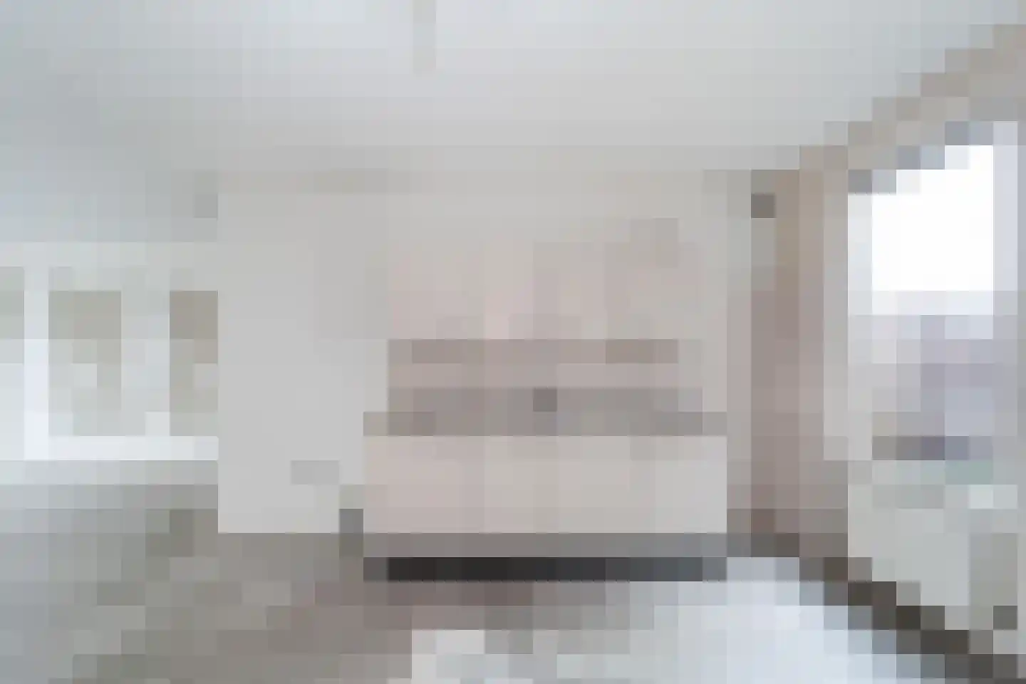 Aalscholver 12 Nieuwegein thumbnail 15