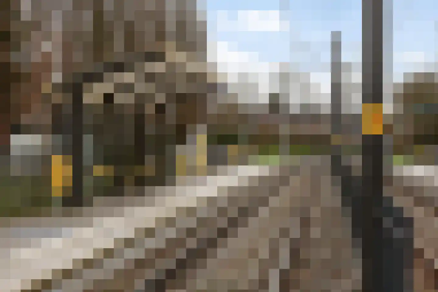 Aalscholver 12 Nieuwegein thumbnail 18
