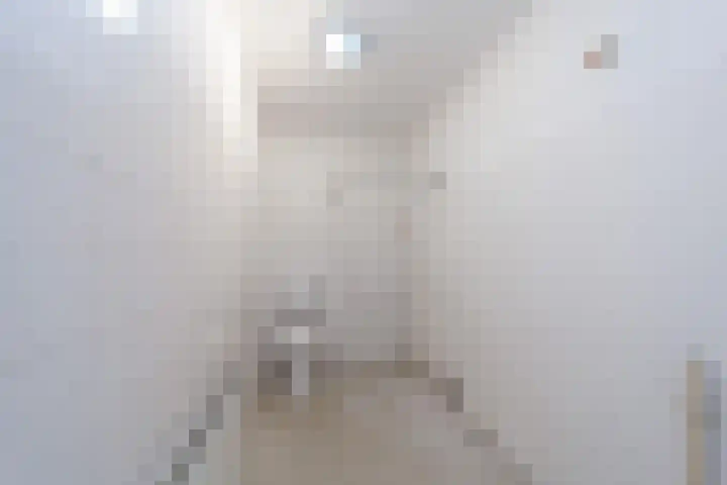 Aalscholver 12 Nieuwegein thumbnail 4