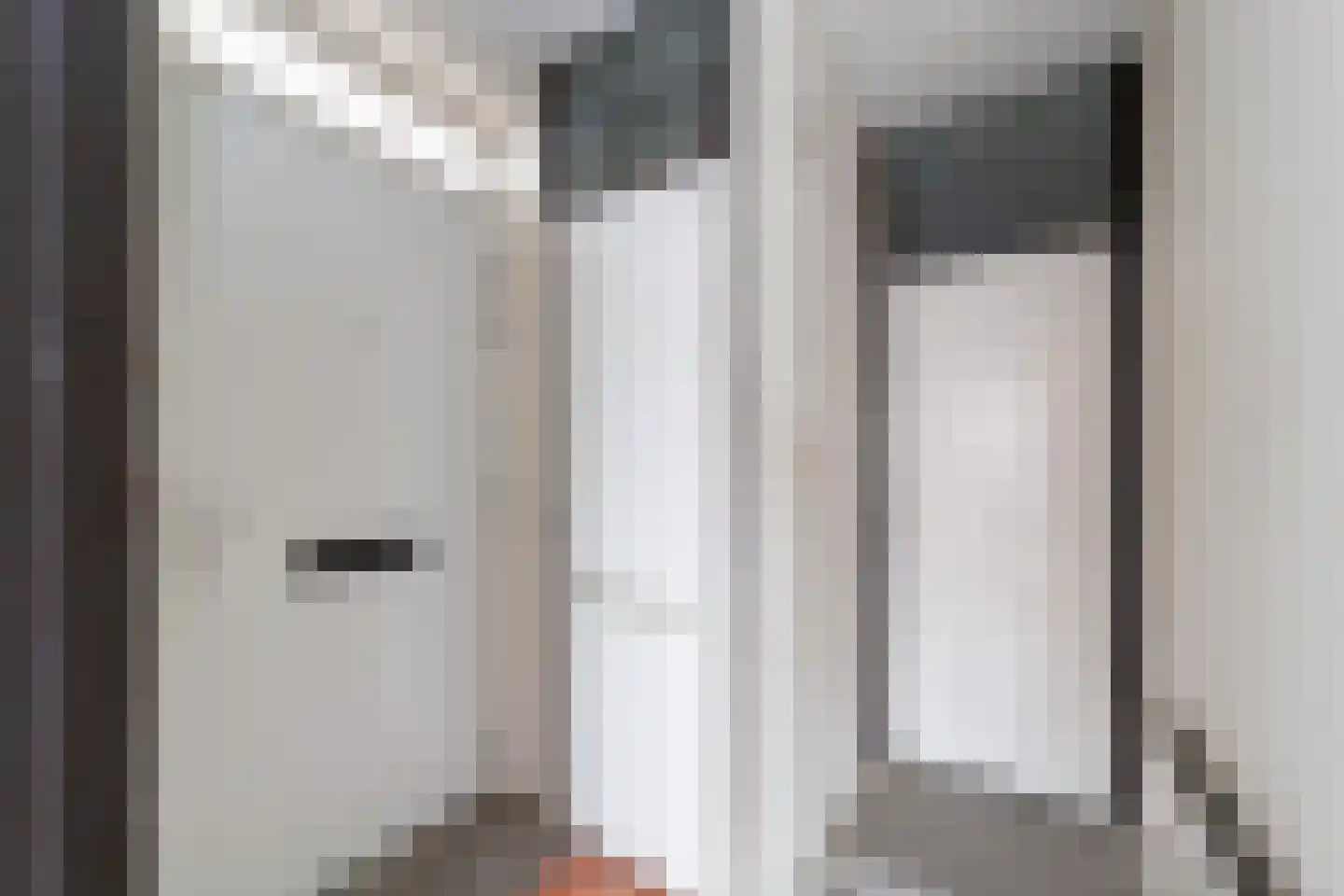 Aalscholver 12 Nieuwegein thumbnail 6