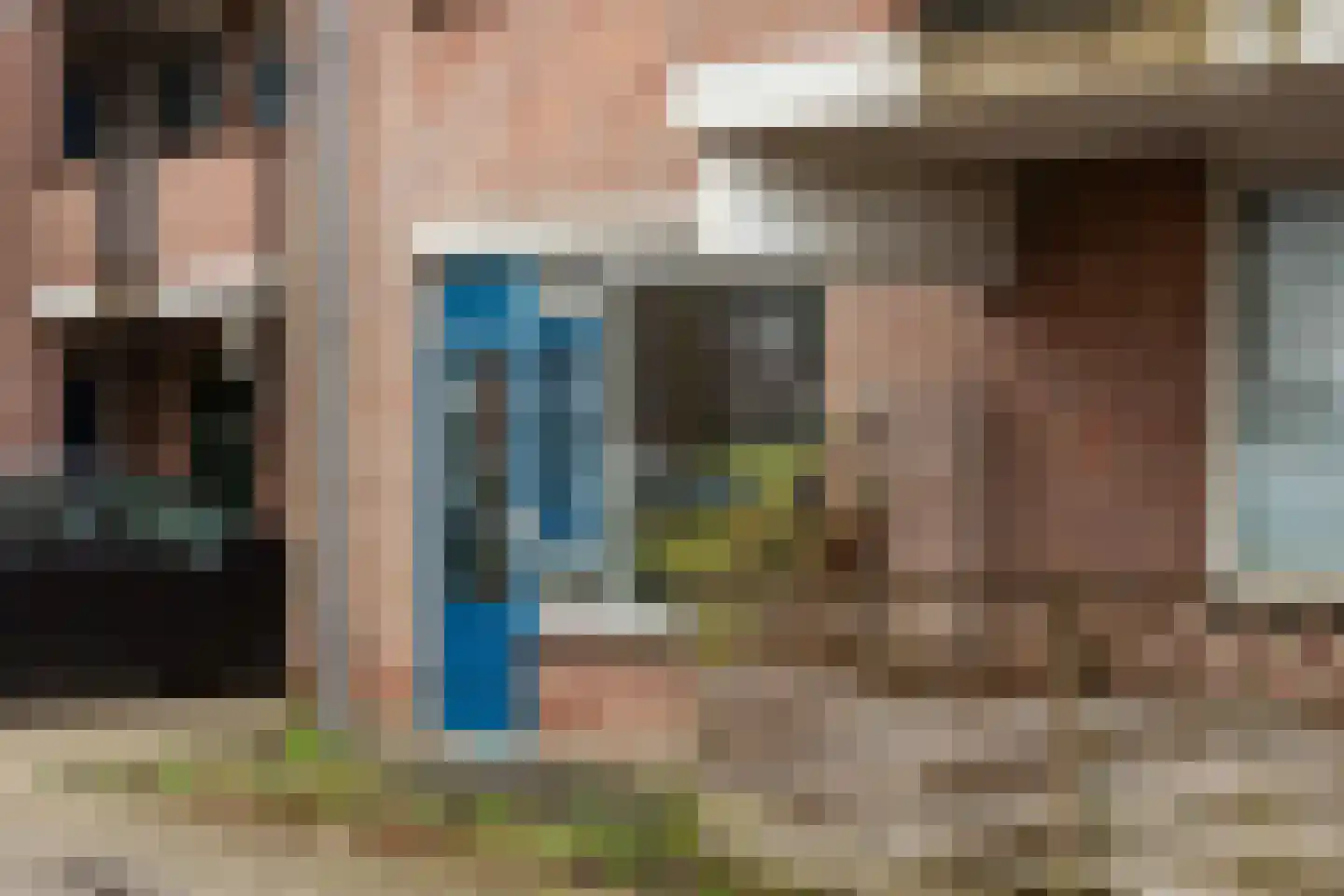 Aalscholver 12 Nieuwegein thumbnail 8