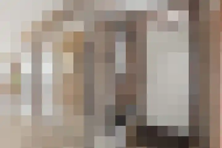 Aalscholver 13 Nieuwegein thumbnail 12