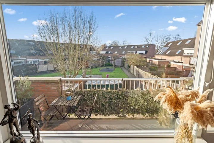 Aalscholver 13 Nieuwegein thumbnail 18