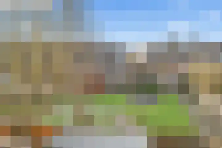 Aalscholver 13 Nieuwegein thumbnail 19