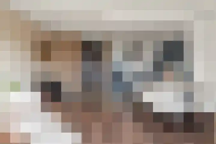 Aalscholver 13 Nieuwegein thumbnail 24