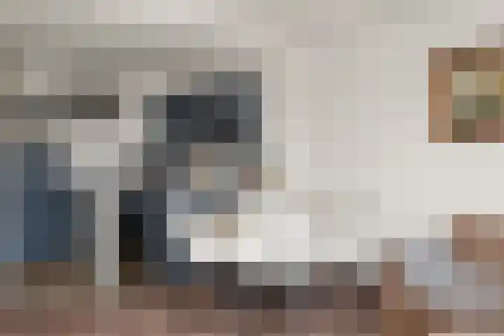 Aalscholver 13 Nieuwegein thumbnail 26