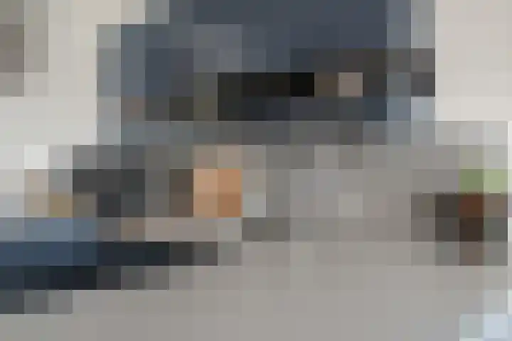 Aalscholver 13 Nieuwegein thumbnail 31