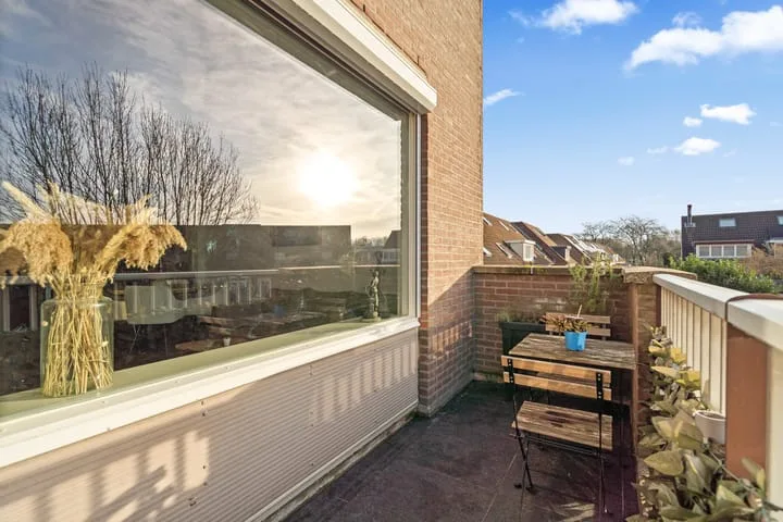 Aalscholver 13 Nieuwegein thumbnail 32