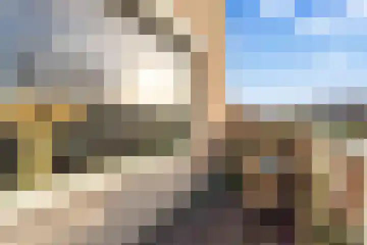 Aalscholver 13 Nieuwegein thumbnail 32