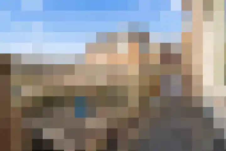 Aalscholver 13 Nieuwegein thumbnail 33