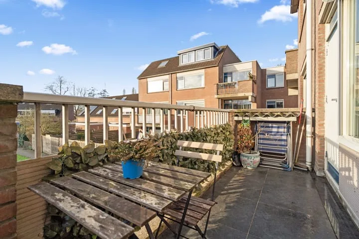 Aalscholver 13 Nieuwegein thumbnail 33
