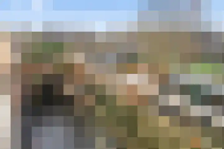 Aalscholver 13 Nieuwegein thumbnail 34