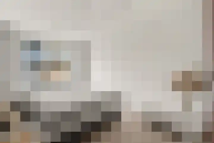 Aalscholver 13 Nieuwegein thumbnail 36