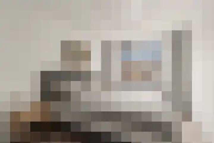 Aalscholver 13 Nieuwegein thumbnail 37