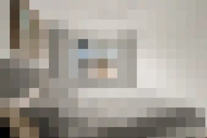 Aalscholver 13 Nieuwegein thumbnail 38