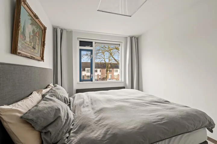 Aalscholver 13 Nieuwegein thumbnail 38