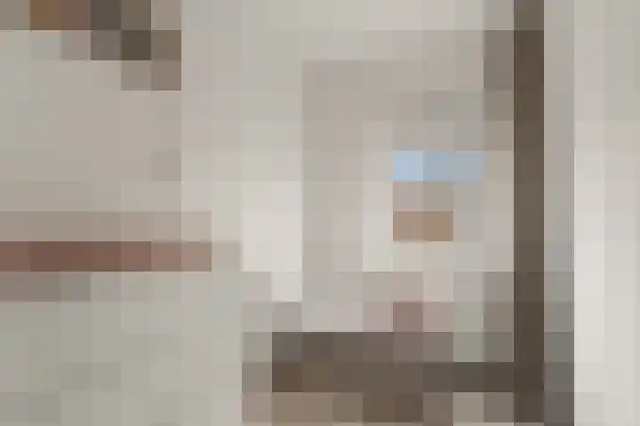 Aalscholver 13 Nieuwegein thumbnail 41