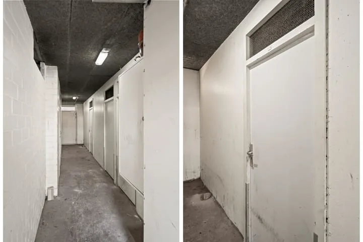 Aalscholver 13 Nieuwegein thumbnail 45
