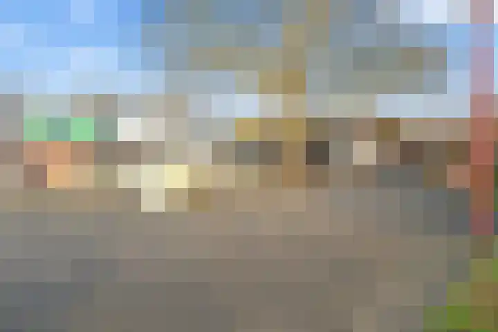 Aalscholver 13 Nieuwegein thumbnail 46