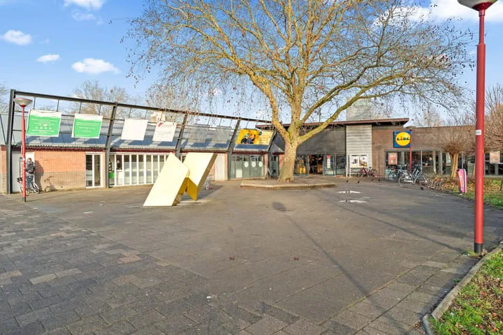 Aalscholver 13 Nieuwegein thumbnail 46