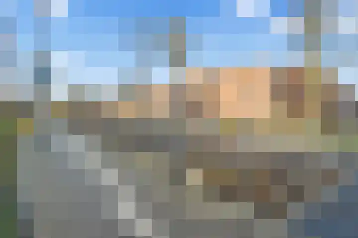 Aalscholver 13 Nieuwegein thumbnail 47