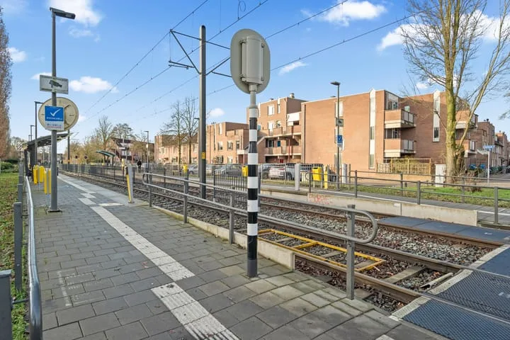 Aalscholver 13 Nieuwegein thumbnail 47